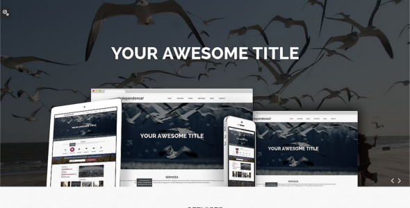 Independence Bootstrap Portfilio template