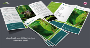 Green Brochure PSD Templates