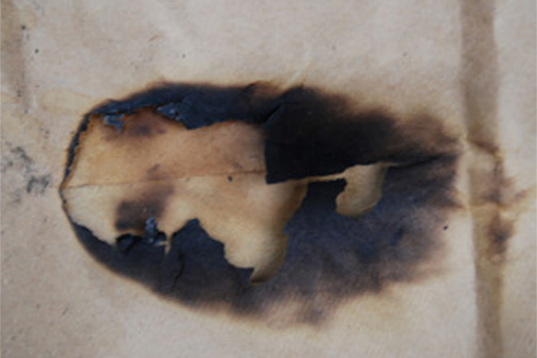 Minimal Burnt Texture Outlook