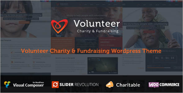 Minimal Fundraising WordPress Theme