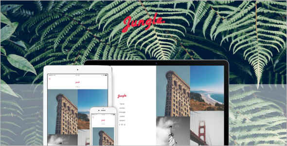 Minimalistic Photography Tumblr Theme
