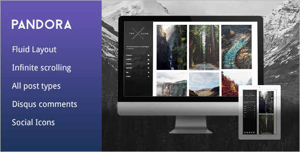 Modern Photography Tumblr Theme