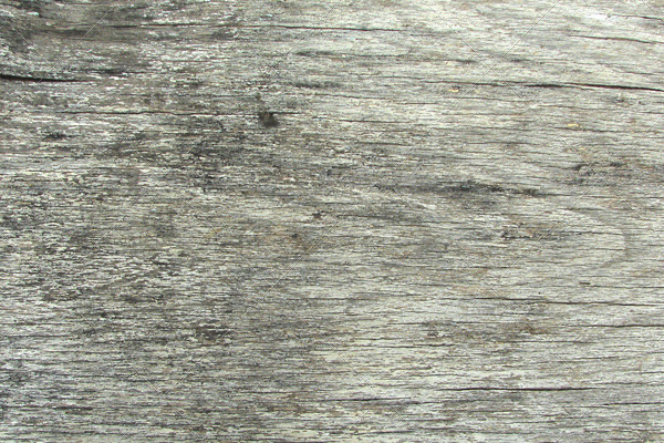 Old Grey Wood Surface Texture