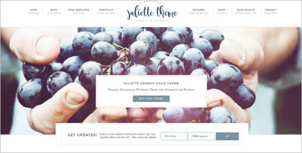 Portfolio E-Commerce WordPress Theme