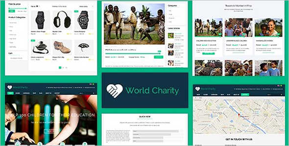 Professional Fundraising WordPress Theme
