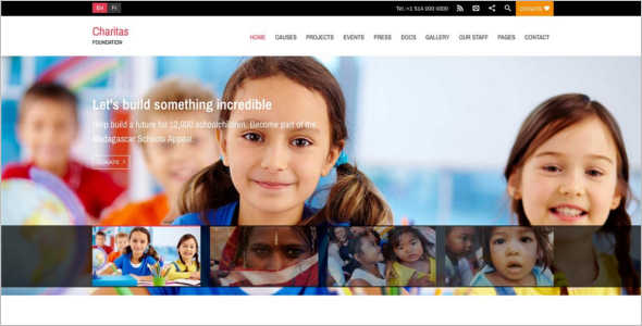 Simple Fundraising WordPress Theme