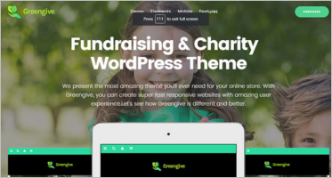 Fundraising WordPress Themes