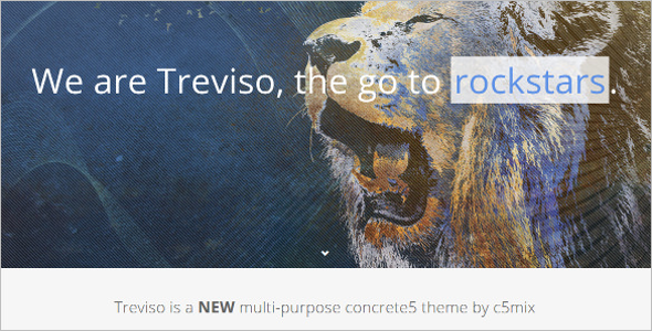 Portfolio Concrete5 Template