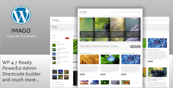 Premium WordPress Google Slider Theme