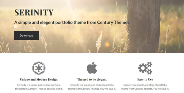 Serenity wordPress template