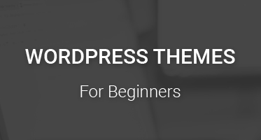 Cheap & Best WordPress Themes