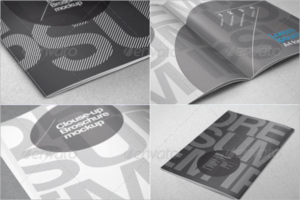 A4 Brochure Close-up Design