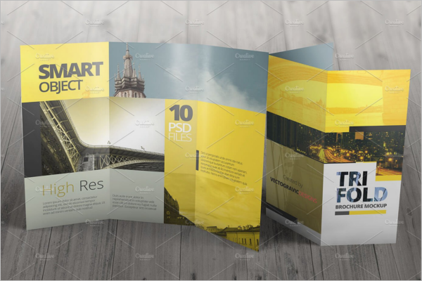Best Brochure Mockup PSD