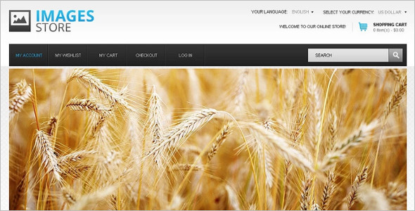 High Quality Photo Magento Theme