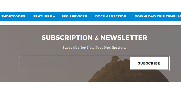 Newletter Free Blog Template