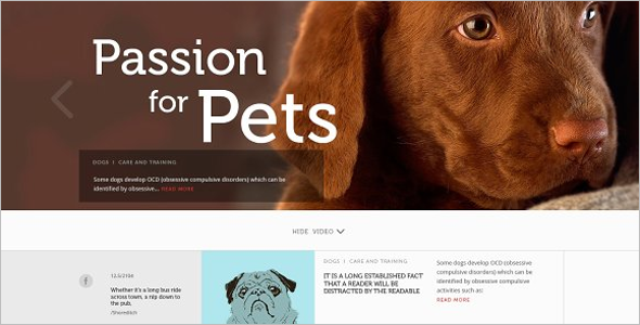 Pet Care Blog & Magazine Template