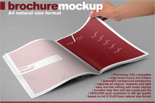Photo Realistic A4 Brochure Mock-upÂ 