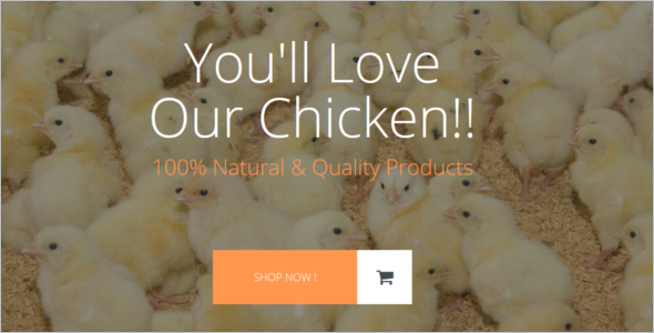 Poultry Farm Opencart Theme