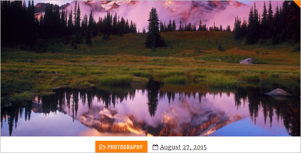 Professional Free Blog Template