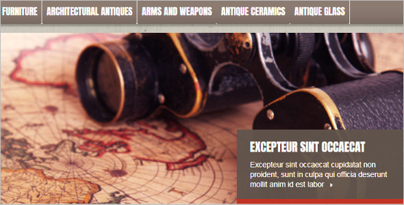 Rare Antiques OpenCart Template