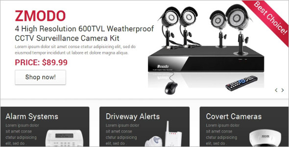 Security system Magento Template