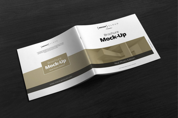 Square Brochure Mockup