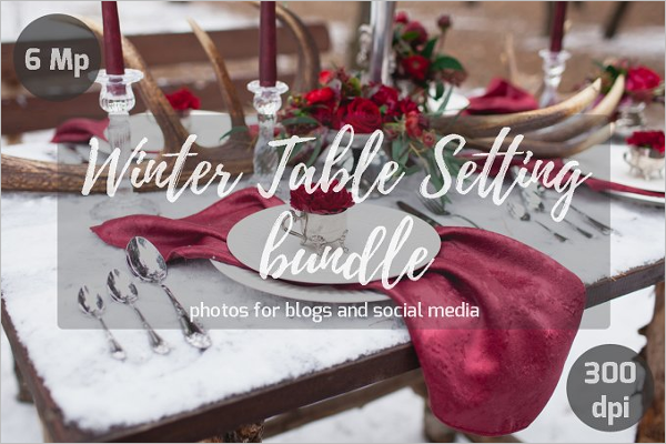 Table Setting Bundle