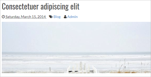 Visitor Blog Free Template