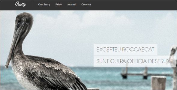 jQuery HTML Website Template
