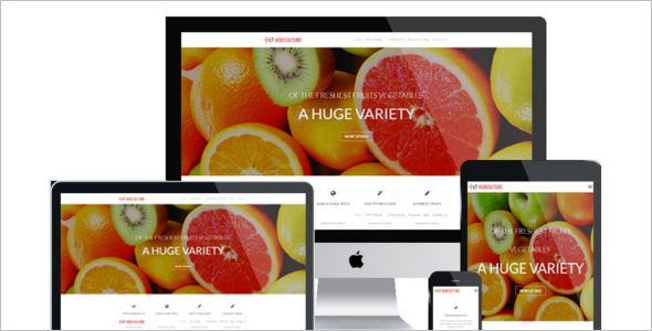 Agriculture Blog WordPress Theme
