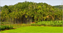 8+ Agriculture PrestaShop Themes