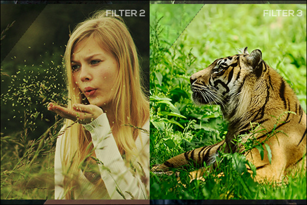 Best Photo Filter Template