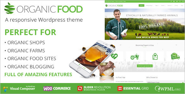 CleanÂ Organic WordPress Theme