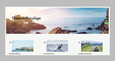 Grid Style WordPress Themes