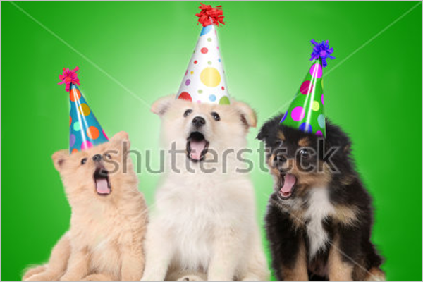 Hound Birthday Party Design