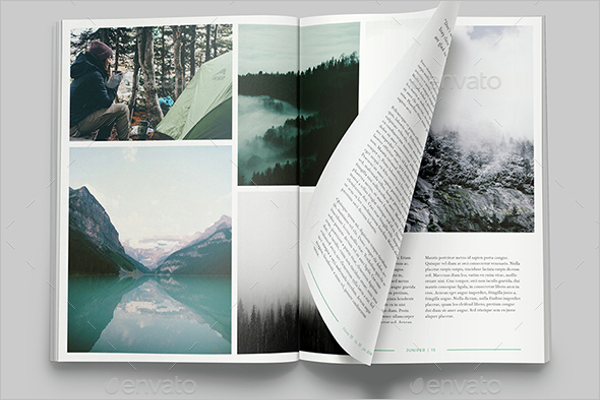 Juniper Magazine Mockup