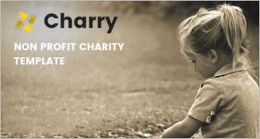 Non Profit PHP Themes