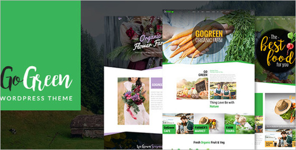 Organic Business WordPress Theme