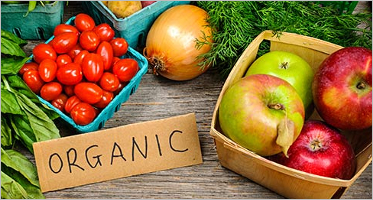 Organic WordPress Themes