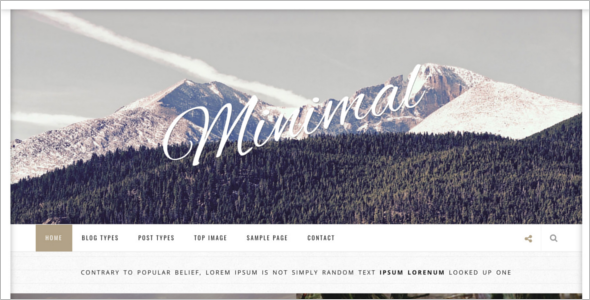 Parallax WordPress Theme