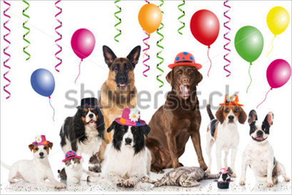 Pets Celebrations Design
