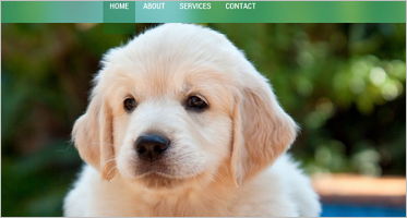 Pets OsCommerce Templates