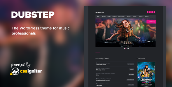 Premium Entertainment WordPress Template