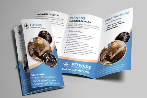 GYM Brochure Templates Free & Premium | Creative Template