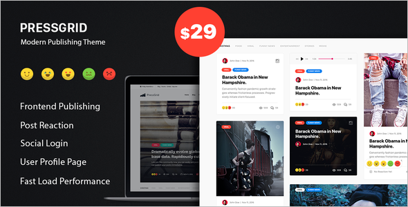 Press Multimedia WordPress Theme