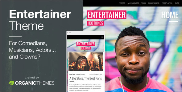 Professional Entertainment WordPress Template
