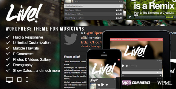 Responsive Entertainment WordPress Template