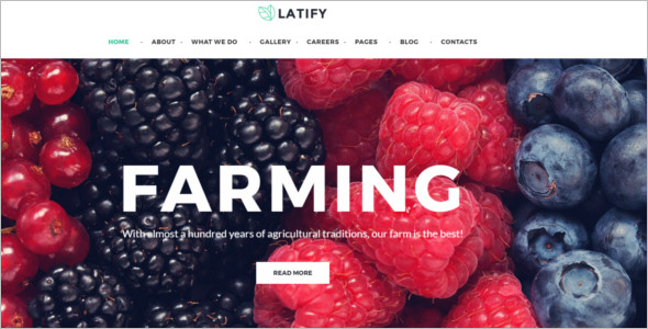 Responsive Organic WordPress Theme