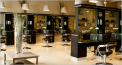 16+ Salon Prestashop Themes