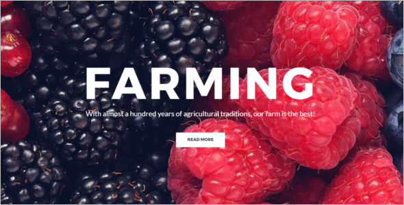 Simple Agriculture WordPress Theme